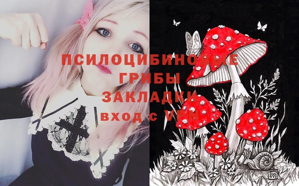 PSILOCYBIN Баксан